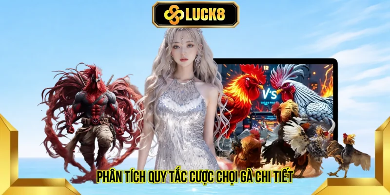 Phân tích quy tắc cược chọi gà chi tiết