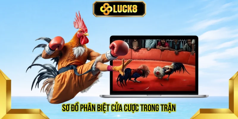 Sơ đồ phân biệt cửa cược trong trận