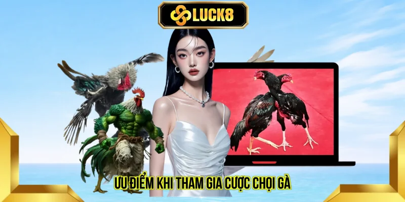 Ưu điểm khi tham gia cược chọi gà
